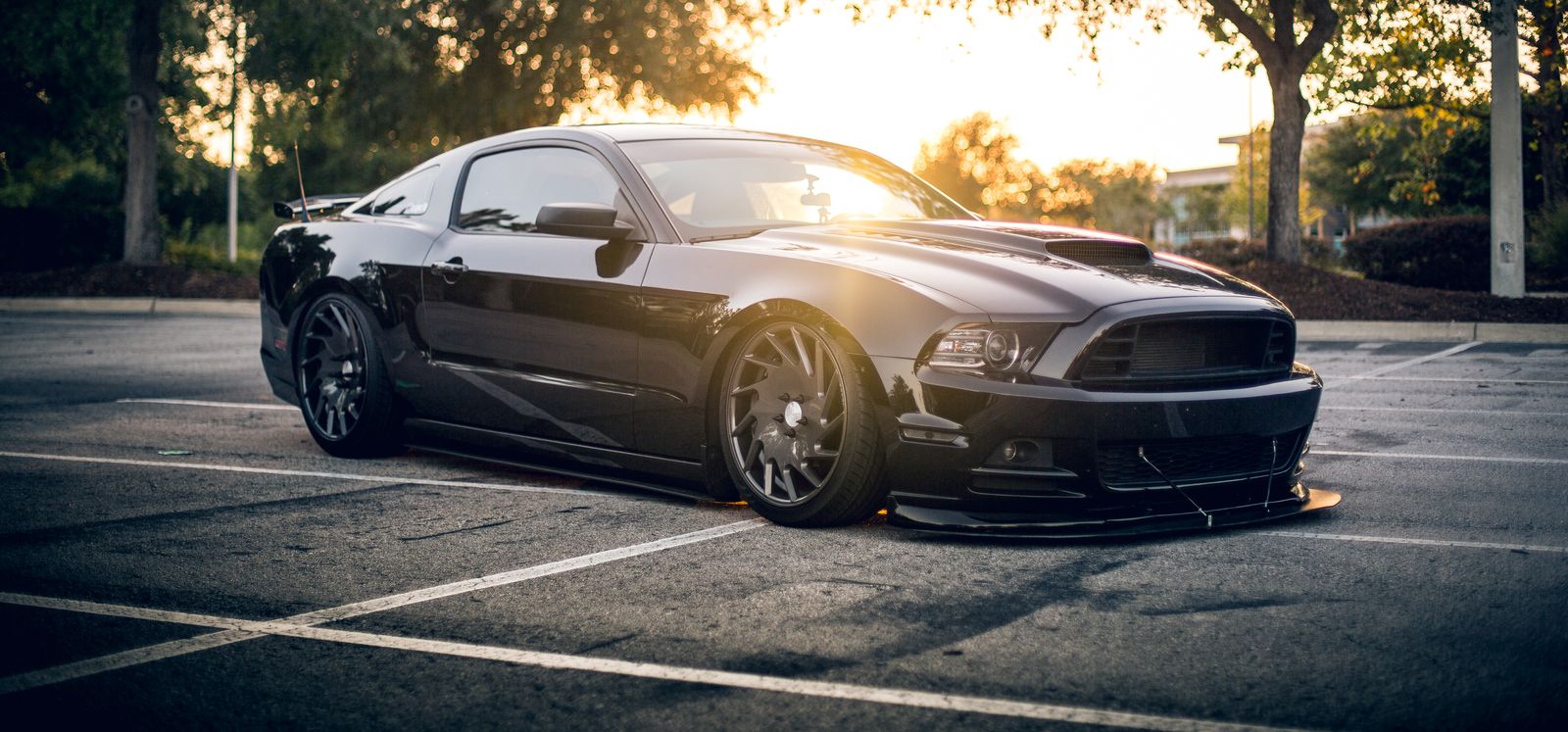 A lowered black Mustang with a front splitter and aftermarket alloys